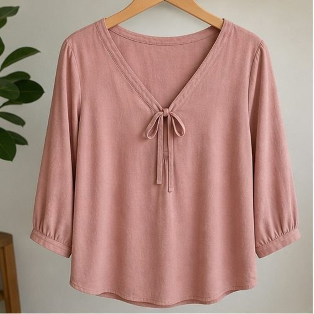 Blush V Neck Top